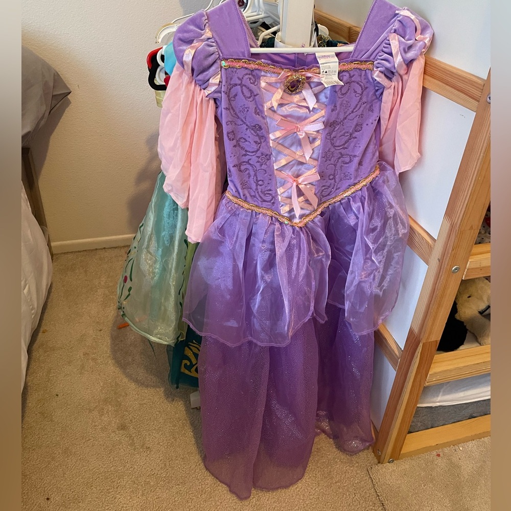 Rapunzel dress NWOT